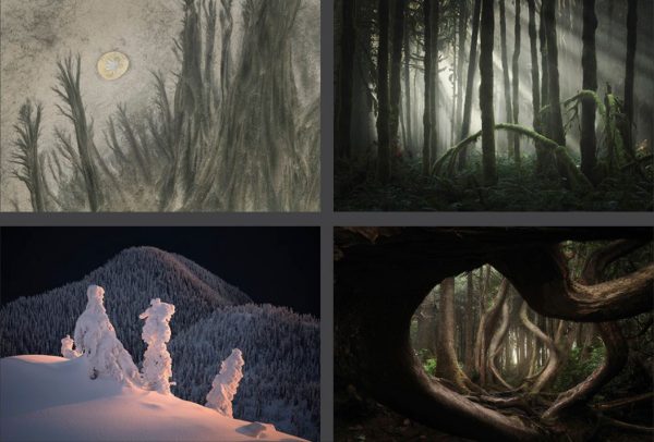 Estos son los ganadores del International Landscape Photographer of the ...