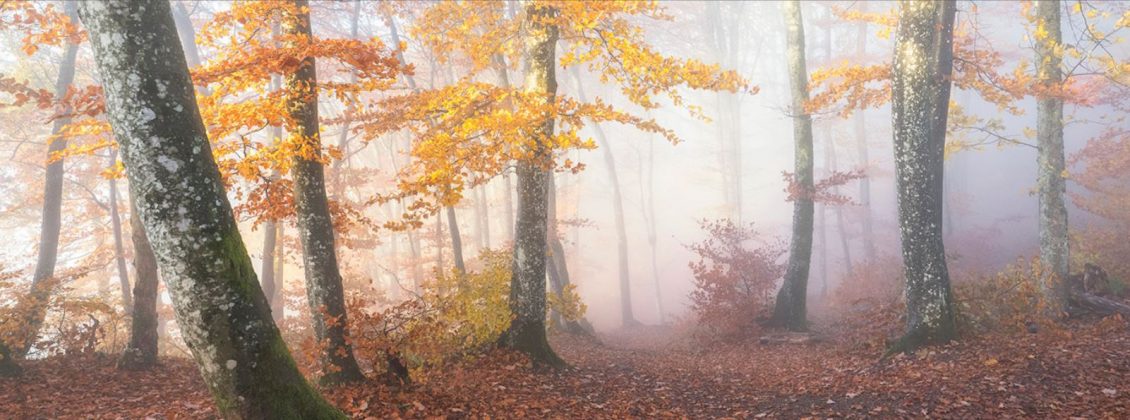 Estos son los ganadores del International Landscape Photographer of the ...