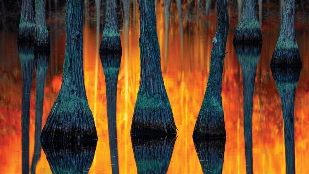 Estos son los ganadores del International Landscape Photographer of the ...