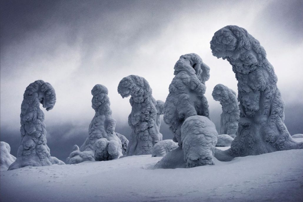 Estos son los ganadores del International Landscape Photographer of the ...
