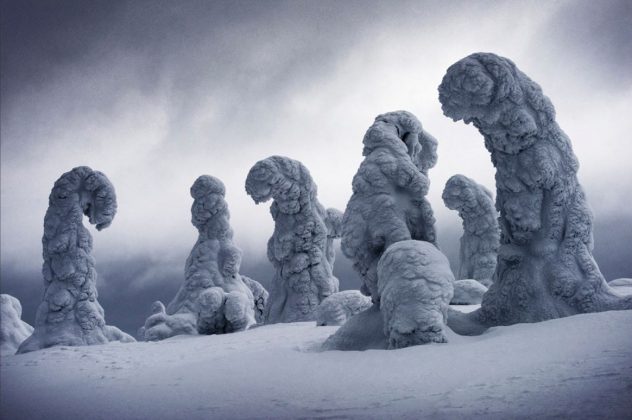 Estos son los ganadores del International Landscape Photographer of the ...