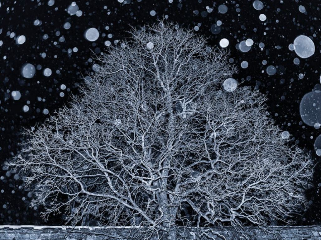 Estos son los ganadores del International Landscape Photographer of the ...